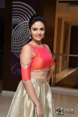Sree Mukhi at Gentleman Movie Success Meet